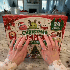 Christmas 🎅🏻 24 Hidden Holiday Treasures