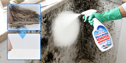 Alcuras® Fast Acting Anti-Mold Wall Cleaner Spray