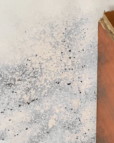 Alcuras® Fast Acting Anti-Mold Wall Cleaner Spray