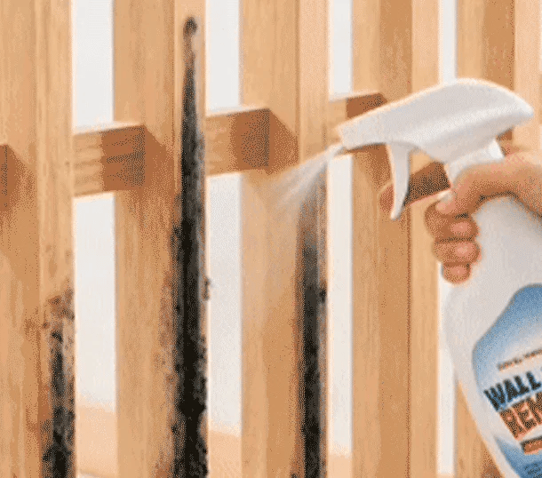 Alcuras® Fast Acting Anti-Mold Wall Cleaner Spray